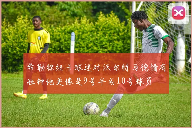 希勒称纽卡球迷对沃尔特马德情有独钟他更像是9号半或10号球员